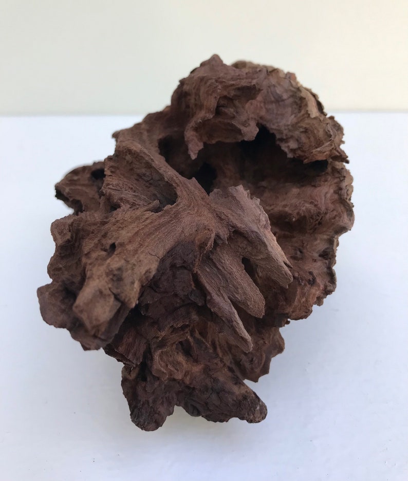 Manzanita Burl Manzanita Wood Aquarium Aquascape Wood Etsy