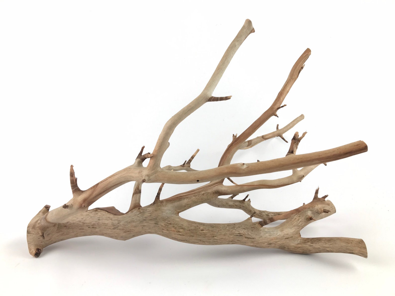 15 Manzanita Branch Driftwood Manzanita Wood Aquarium Etsy