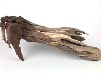 29 inch Manzanita Log with Roots, Beach Home Decor, Aquarium Driftwood Centerpiece