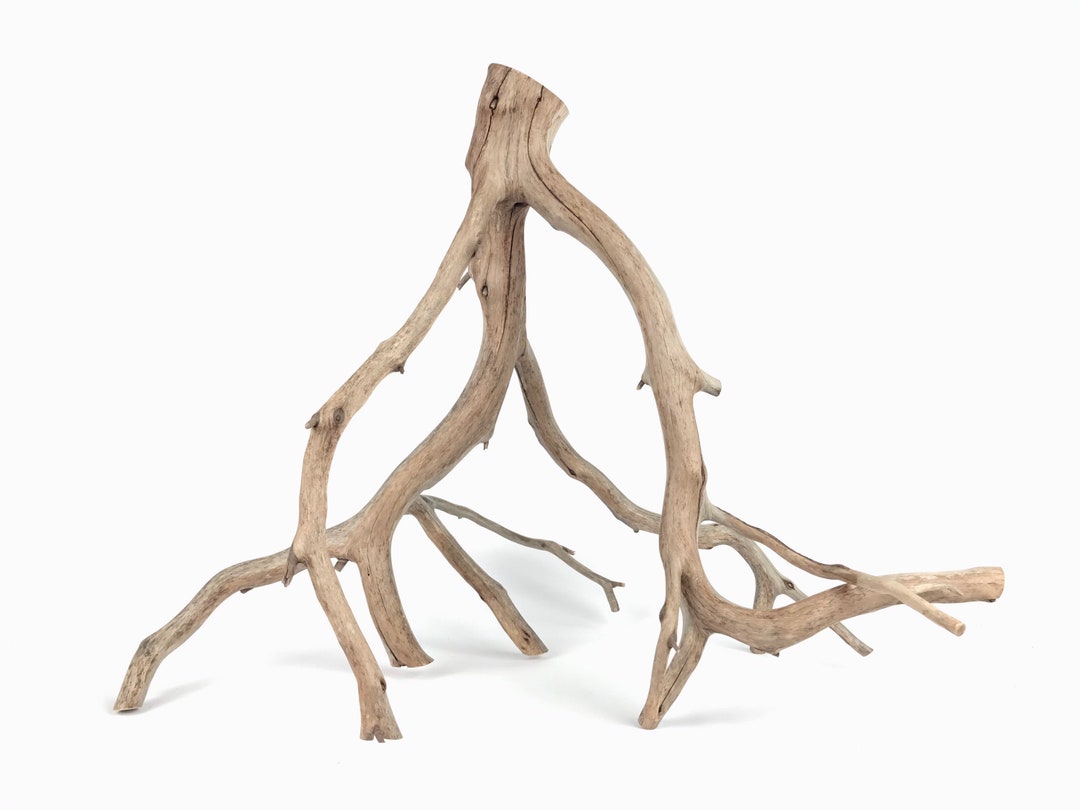 26 Manzanita Branch Large Aquarium Wood Centerpiece Etsy