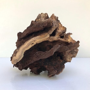 Aquascape Hardscape Manzanita for Aquarium | 8 inch Nature Aquarium Driftwood | Fish Tank Decor | Air Plant Terrarium