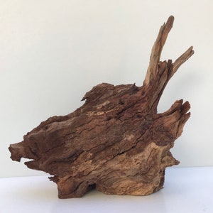 Aquarium Driftwood Manzanita Burl - 10 inch Premium Fish Tank Decoration for Planted Aquascapes and Terrariums