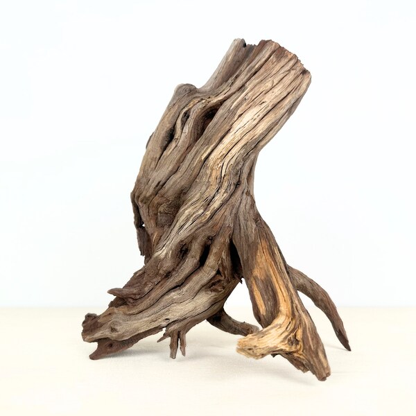 10" Manzanita Driftwood Stump/Roots, Aquarium Driftwood Centerpiece, Driftwood for Aquarium, Aquarium Driftwood Stump, Terrarium Driftwood