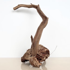 May include: A piece of driftwood with a curved, branch-like structure. The wood is a natural brown color, with a rough, textured surface. The base is a larger, irregular piece of wood, also brown. The driftwood is set against a white background.