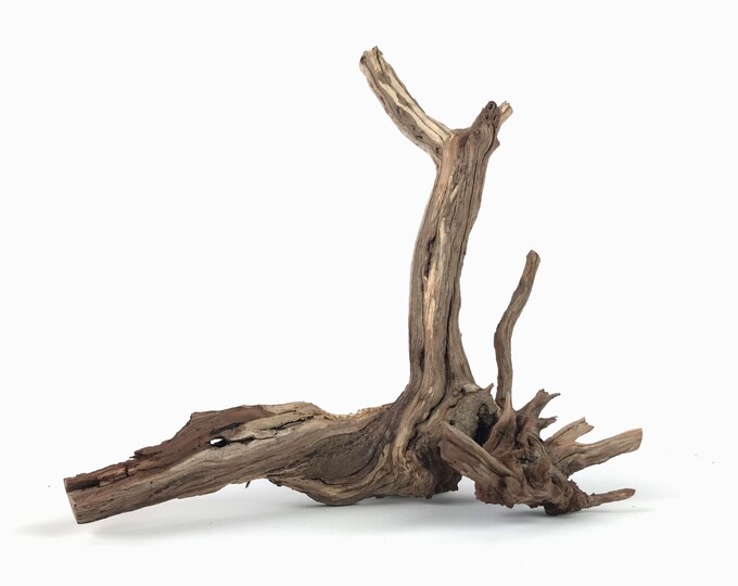 14 Manzanita Driftwood, Aquarium Wood, Driftwood Centerpiece, Aquarium