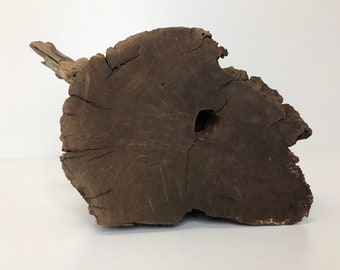 7" Natural Manzanita Driftwood Burl | Aquarium Hardscape | Air Plant Terrarium Wood Decoration | Aquascaping Material