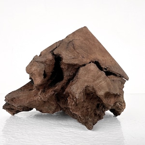 11-inch Aquarium Hardscape Manzanita Burl | Air Plant Terrarium Wood Decoration | Aquascaping Wood Material