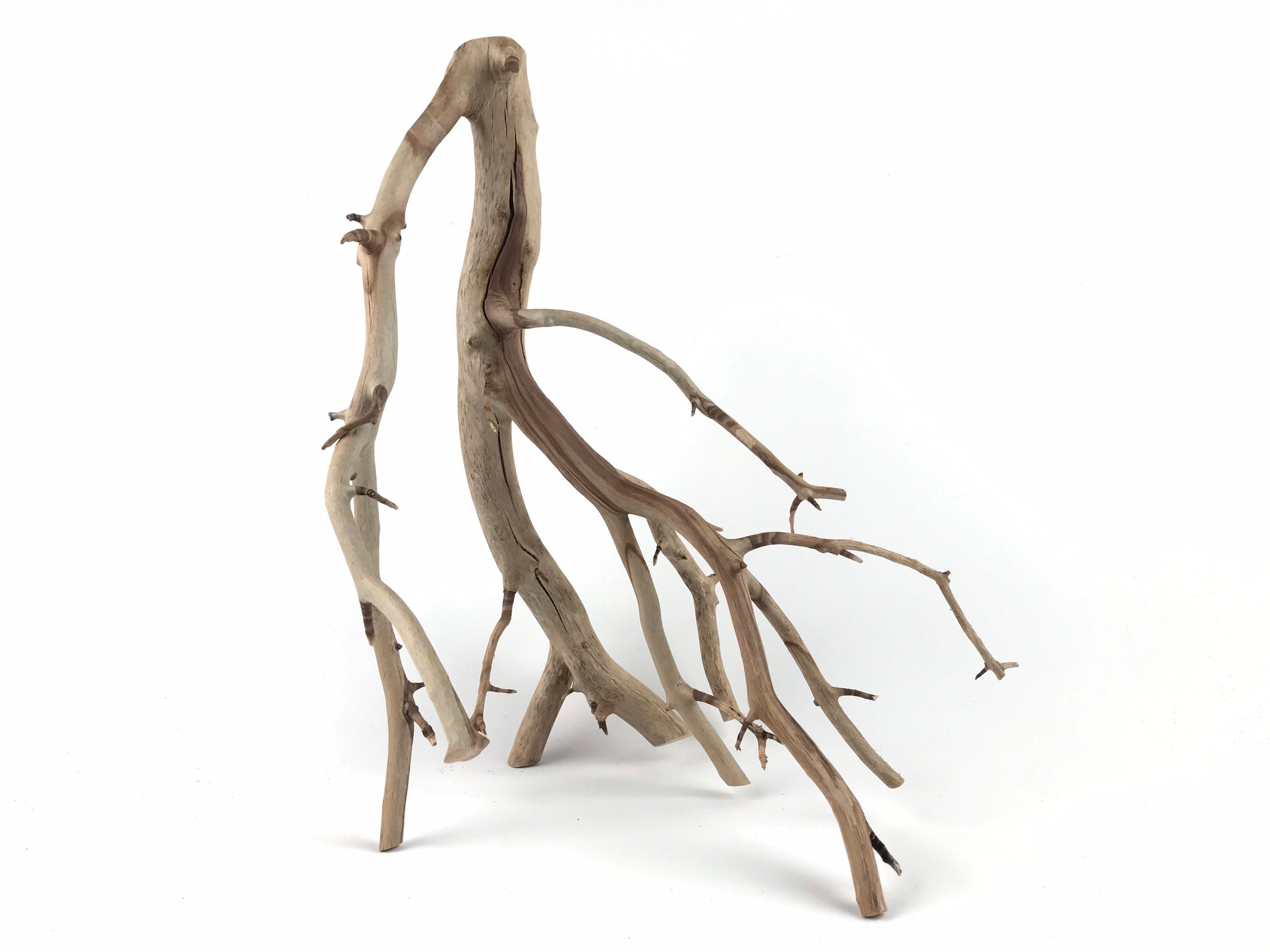 15 Manzanita Branch Driftwood Manzanita Wood Aquarium Etsy