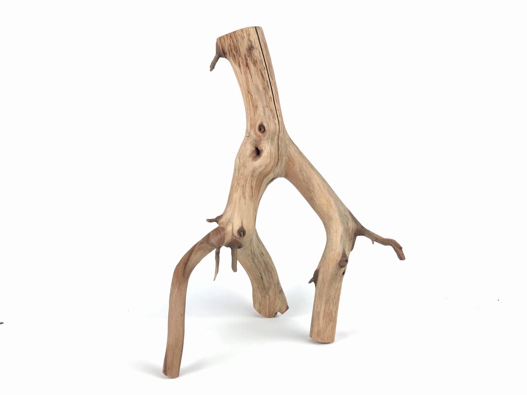 18 Manzanita Branch, Reptile Wood, Aquascape Wood, Air Plant Holder