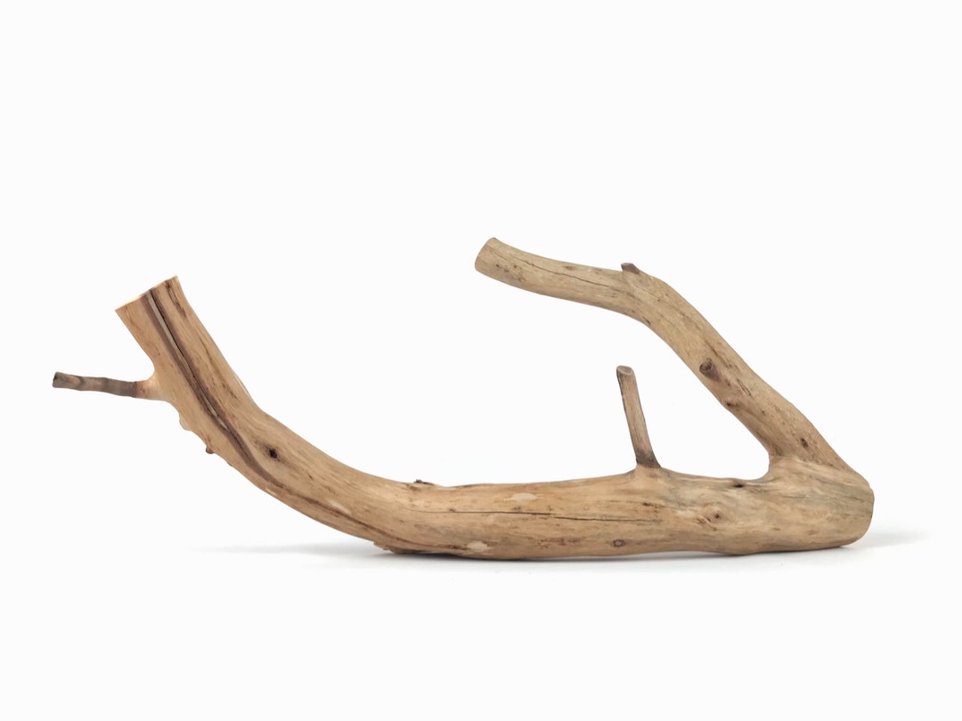 17 Manzanita Branch, Reptile Wood, Aquascape Wood, Reptile Vivarium