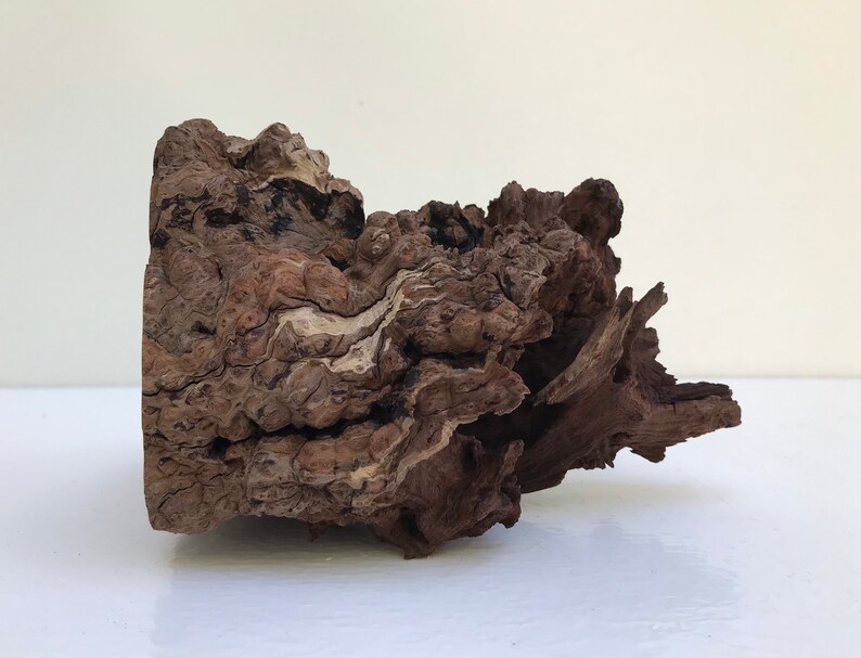 Manzanita Burl Manzanita Wood Aquarium Aquascape Wood Etsy