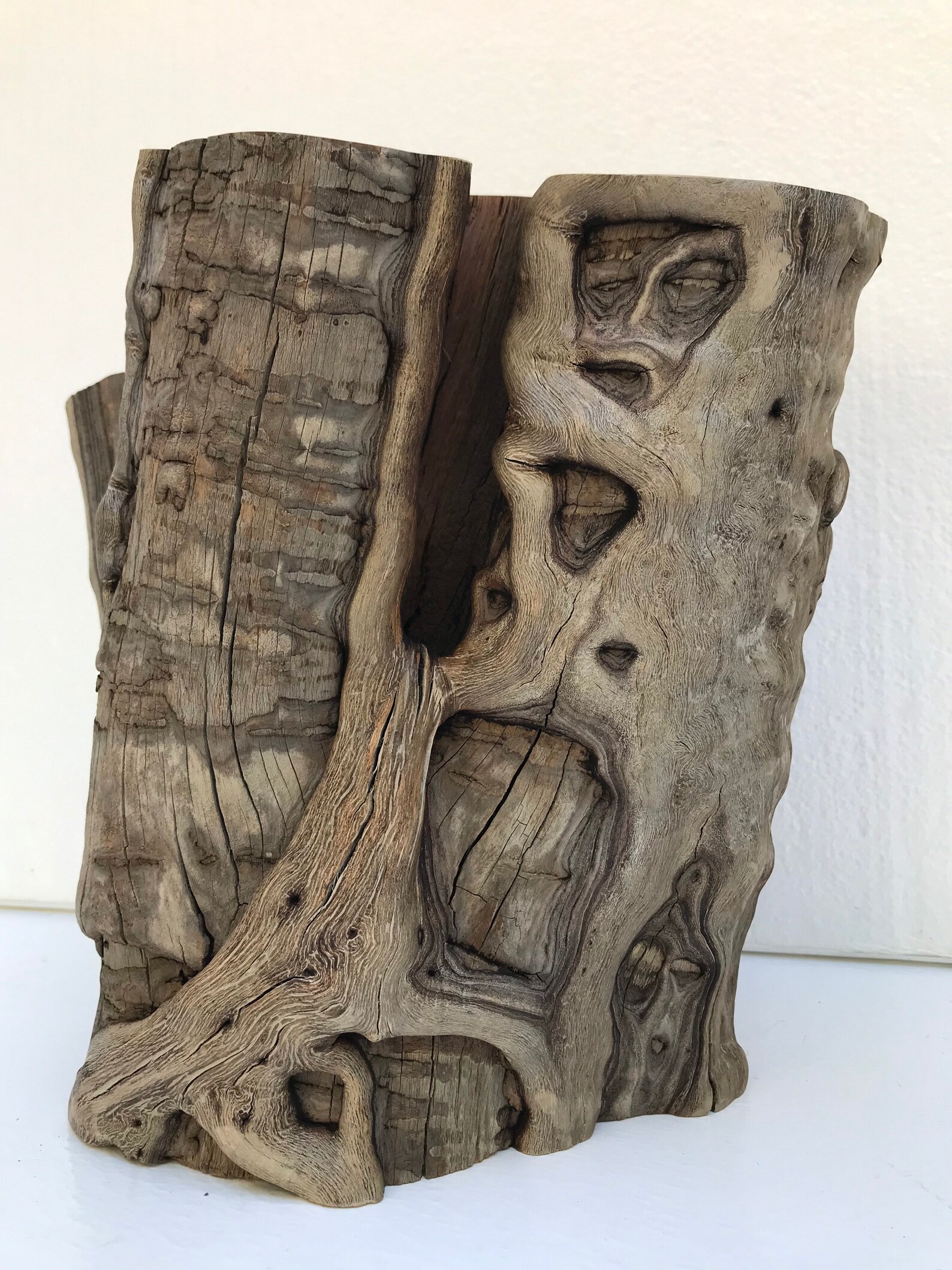 Manzanita Wood Stump For Aquarium Tank Amphibians Reptiles Etsy