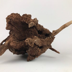Manzanita Driftwood Burl, Manzanita Aquarium Centerpiece, Aquascape Hardscape Decoration
