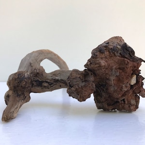 Natural Aquascape Hardscape | 8 inch California Manzanita Driftwood | Aquarium Terrarium Decor | Planted Tank Wood
