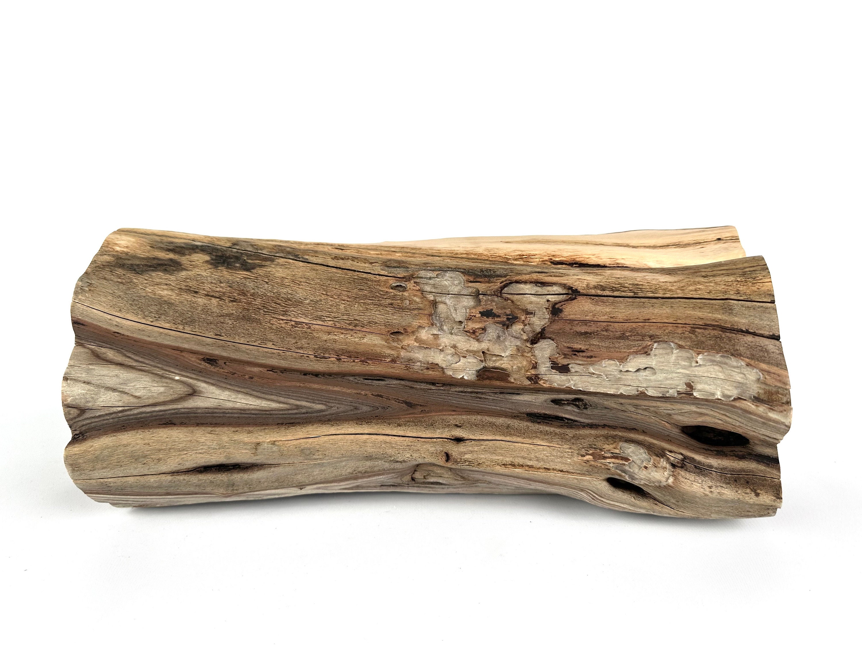 Manzanita Stump 12 Aquascape Centerpiece Reptile Etsy