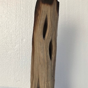 Aquarium Driftwood 12-inch Natural Manzanita Decoration, Air Plant Terrarium Natural Decor