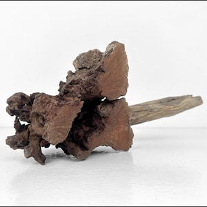 Manzanita Burl Driftwood, Aquarium Terrarium Centerpiece Decoration, Aquascaping Craft Supplies