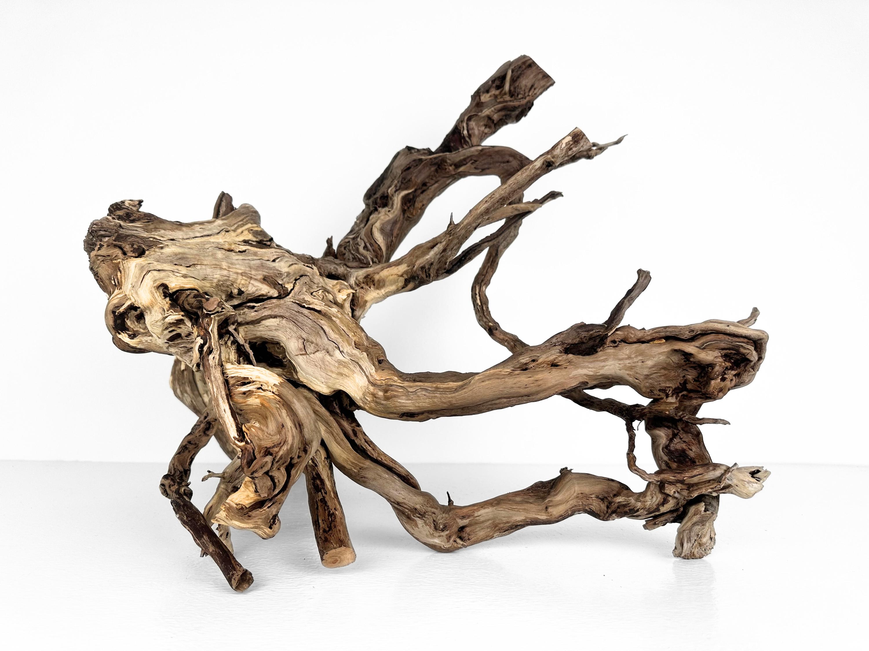 XL Manzanita Aquarium Driftwood: 27