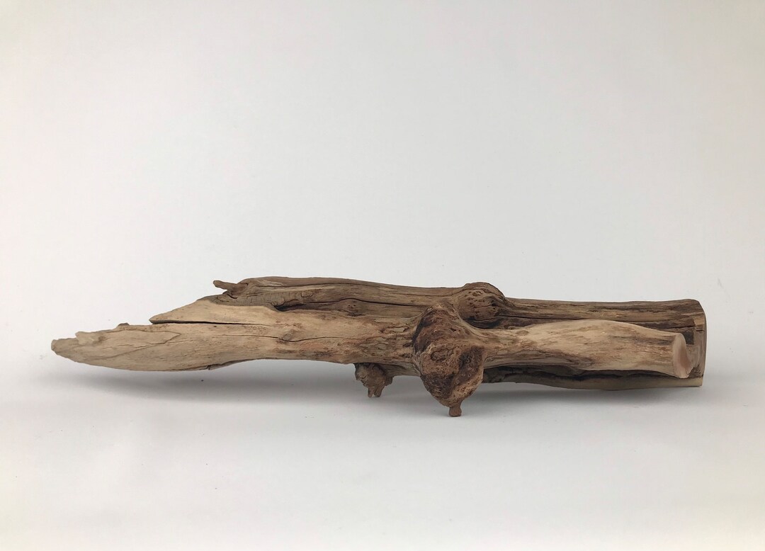 17 Manzanita Driftwood, Aquarium Driftwood, Manzanita Wood Aquarium