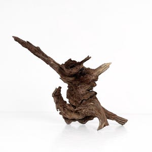Aquarium Driftwood, Natural Reptile Terrarium Wood Decor, Manzanita Driftwood