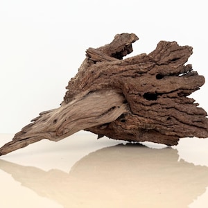 Manzanita Driftwood: 15" Aquarium Reptile Wood Perch