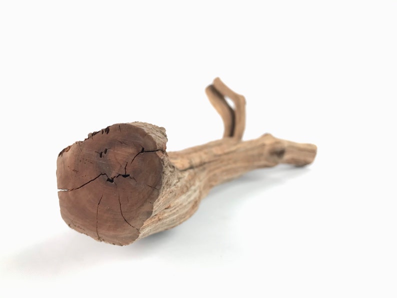 18 Manzanita Branch Reptile Wood Aquascape Wood Air Etsy