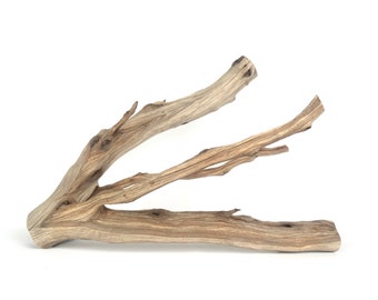 Manzanita Driftwood 19 inch for Aquarium Aquascaping, Terrarium Decor, Reptile Perch, Air Plant Display