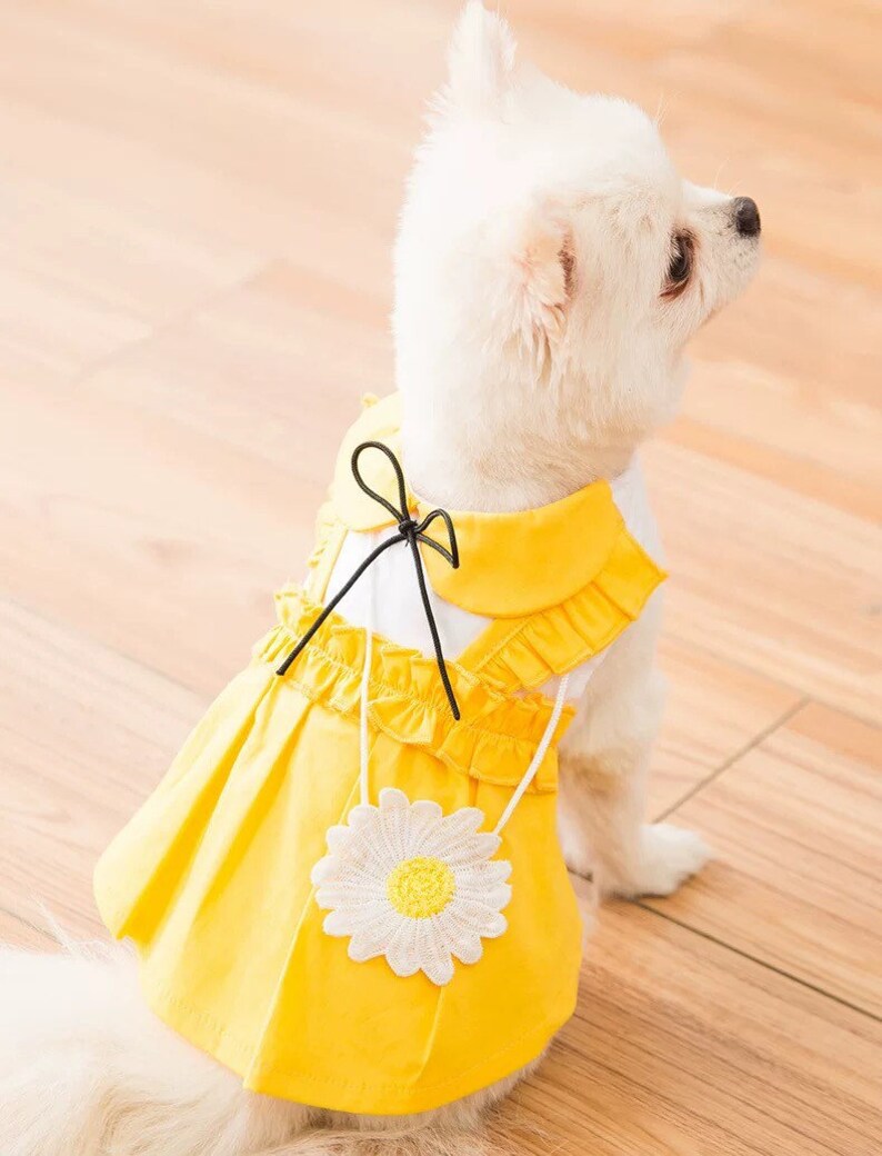Yellow and Blue Dog Dress Daisy Pet Dress Summer Pet Clothes Etsy