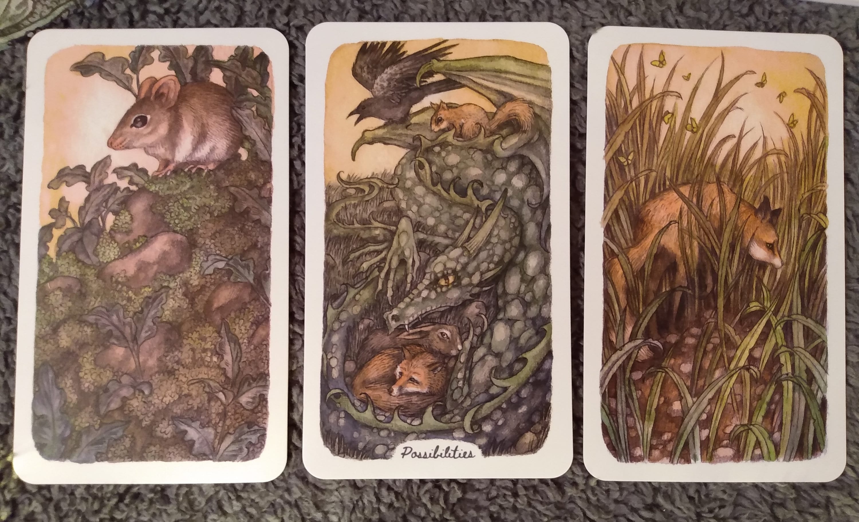 Oak Ash And Thorn Tarot Oak Ash & Thorn Tarot Cards Indie Deck Kickstarter 1st Edition - Etsy