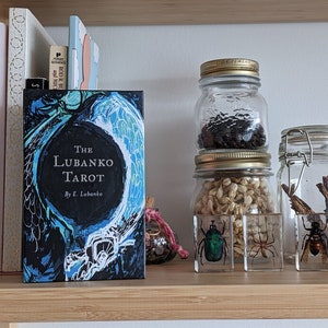The Lubanko Tarot HTF OOP tarot indie deck by E. Lubanko 2020