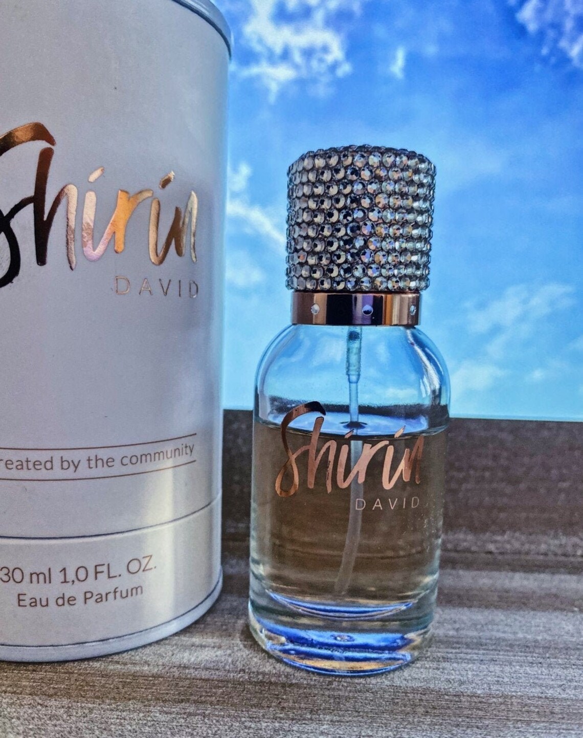 Shirin David Created By The Community