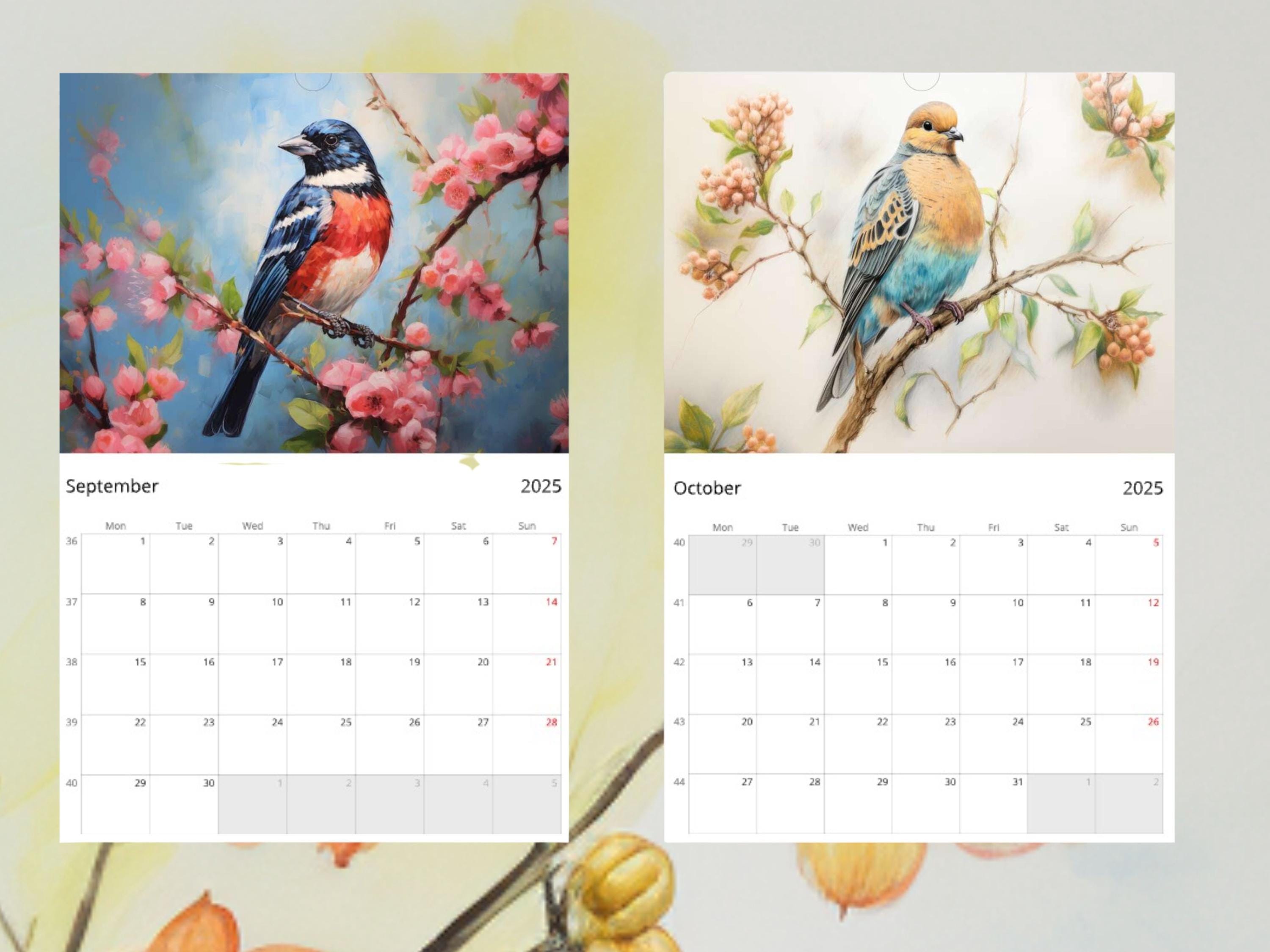 2025 Birds in Art Calendar: Wire-binding 11 X 16.5", Exquisite Oil ...