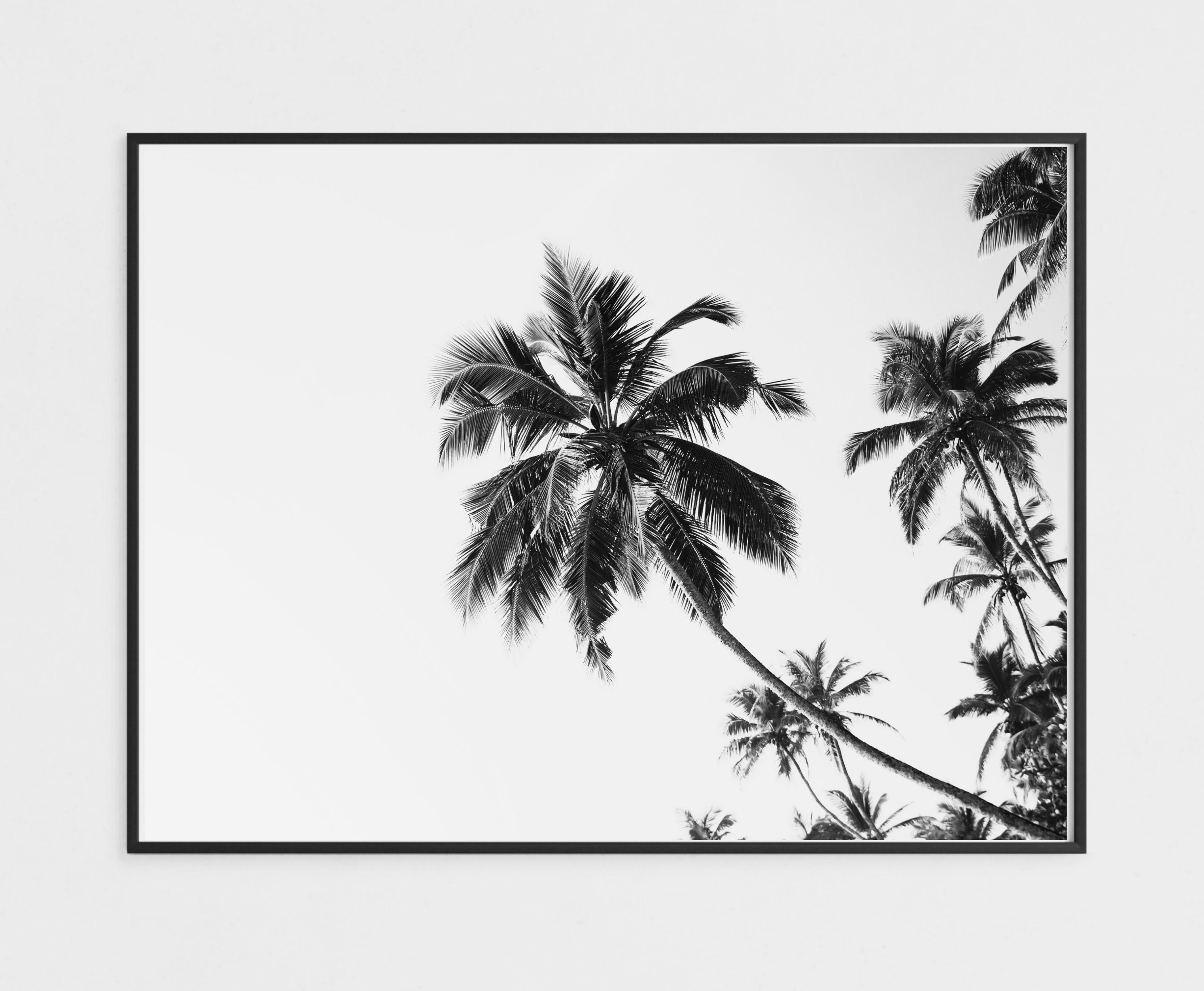 Palm Tree Print Tropical Wall Art Decor Black and White Palm Etsy