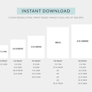 May include: A graphic showing five different print sizes for digital downloads. The sizes are 11 x 14 inches, 4 x 5 ratio, 3 x 4 ratio, ISO A, and 2 x 3 ratio. Each size is labeled with the dimensions in inches and centimetres.