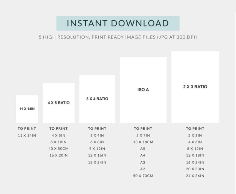 May include: A graphic showing five different print sizes for digital downloads. The sizes are 11 x 14 inches, 4 x 5 ratio, 3 x 4 ratio, ISO A, and 2 x 3 ratio. Each size is labeled with the dimensions in inches and centimetres.