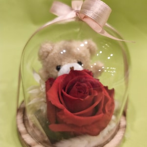 glass bell with its teddy bear and its eternal rose