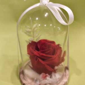 glass bell and its eternal rose