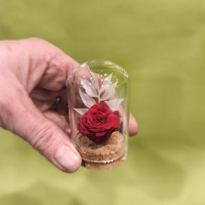 mini glass bell and its eternal rose
