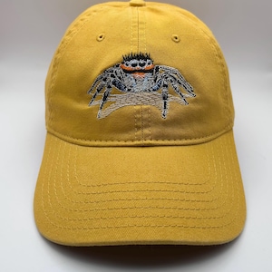 Jumping Spider hat