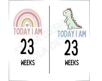 NICU Milestone Cards (Boys and Girls)