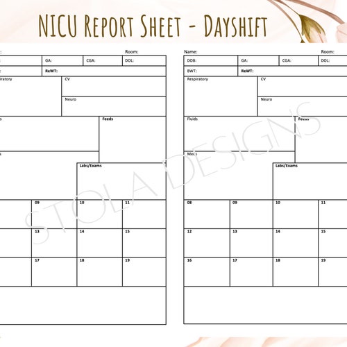 NICU neonatal ICU Report Sheet - Etsy UK