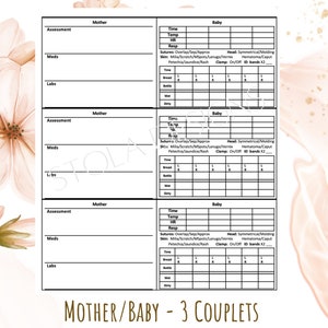 Mother/Baby Report Sheet - 3 couplets