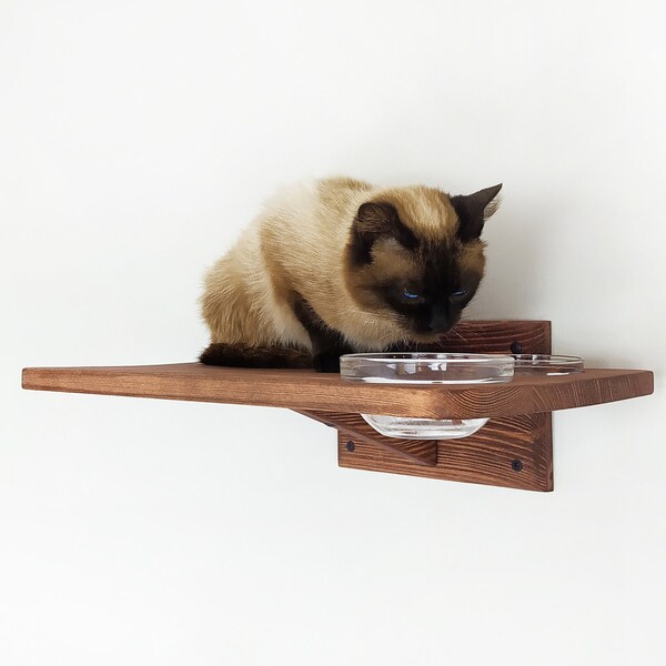Cat Feeder Etsy