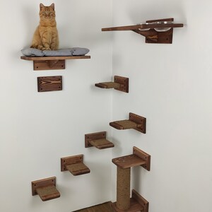 May include: A cat sits on a wooden shelf with a gray cushion. The shelf is part of a cat tree made of multiple wooden shelves and platforms mounted on a white wall. The cat tree also includes a scratching post with sisal rope.