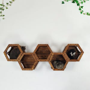Cat Wall Hexagon Set of 5 – Modern Wooden Cat House with Window