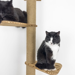 Stock in USA, Scratcher cat 3 sections, cat shelves, Cat wall furniture, Cat scratching, Cat tree, Cat tower, Cat climbing, Cat supplies image 9