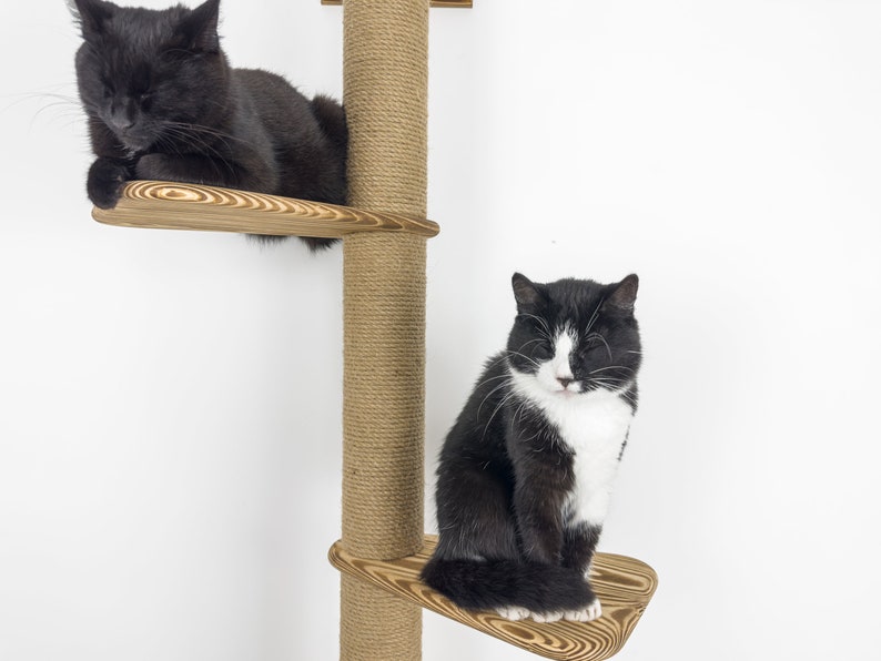 Stock in USA, Scratcher cat 3 sections, cat shelves, Cat wall furniture, Cat scratching, Cat tree, Cat tower, Cat climbing, Cat supplies image 9