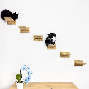 Stock in USA, Set cat 6 steps with rope, Cat furniture, Cat shelves, Cat shelf, Cat wall shelves, Cat bridge, Cat ladder, Cat tree furniture