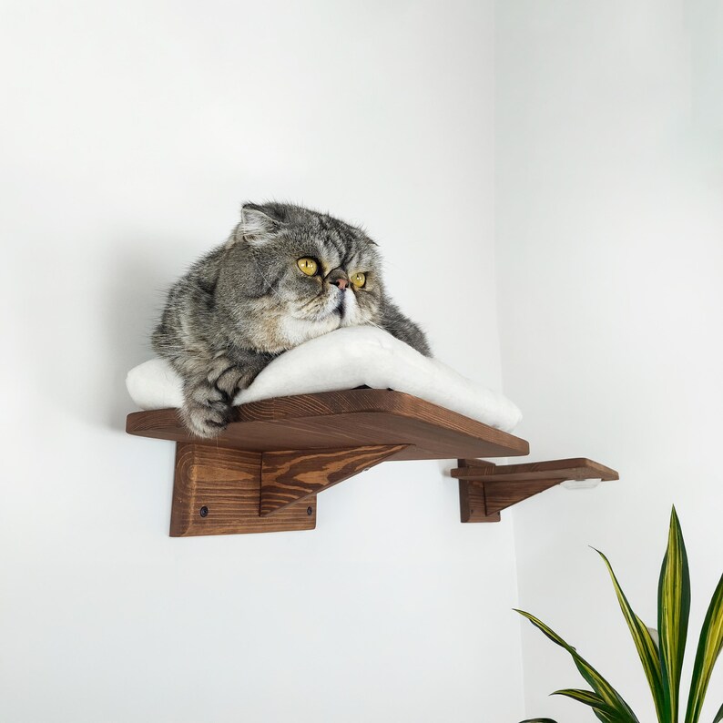 May include: A gray and white cat is relaxing on a wooden cat shelf with a white cushion. The shelf is mounted to a white wall.