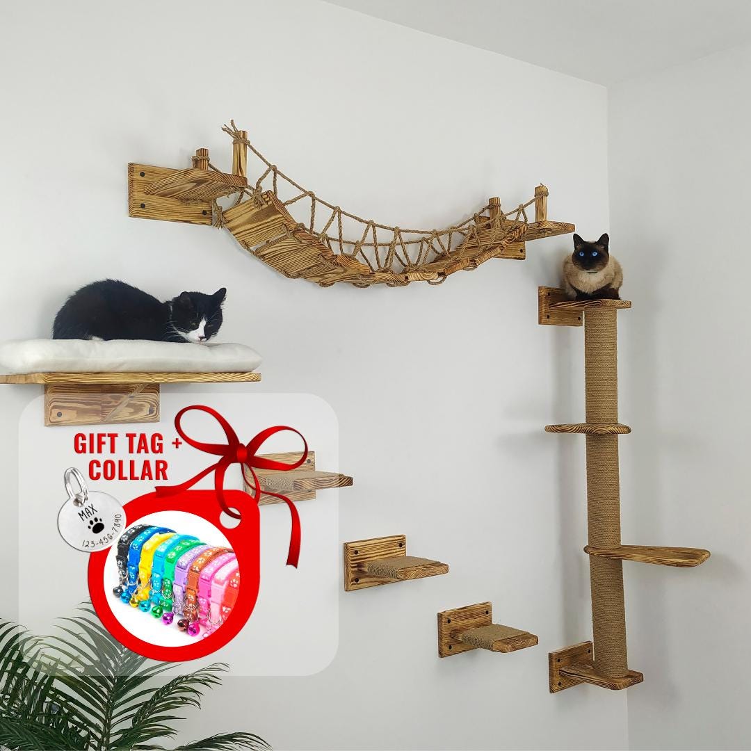 Cat Wall Furniture Set With Wall Mounted Bed and Kitten Steps Cat Wall ... - Wall Mounted Cat Catwalks With Cubbies